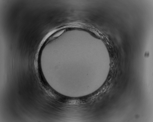 X0000103320200200810171409