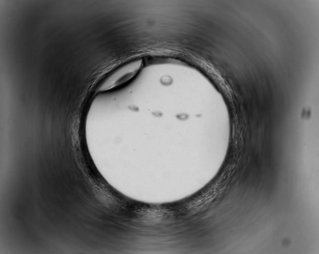 X0000103320201200810171409