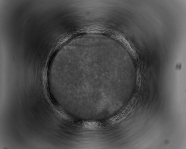 X0000103320202200810171409