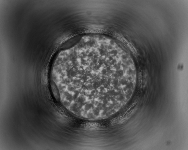 X0000103320203200810171409