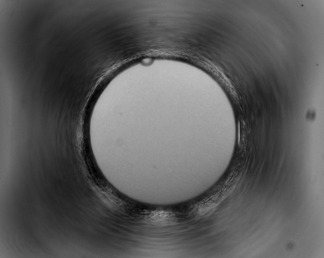 X0000103320204200810171409