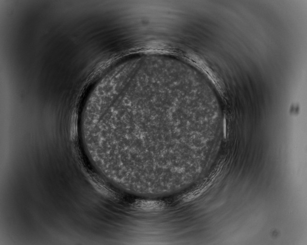 X0000103320205200810171409