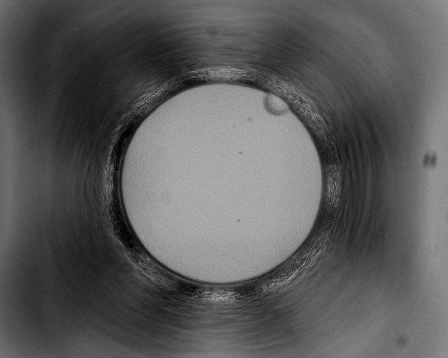 X0000103320206200810171409