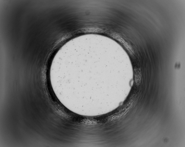 X0000103320207200810171409