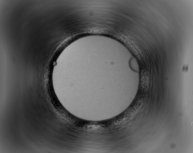 X0000103320208200810171409