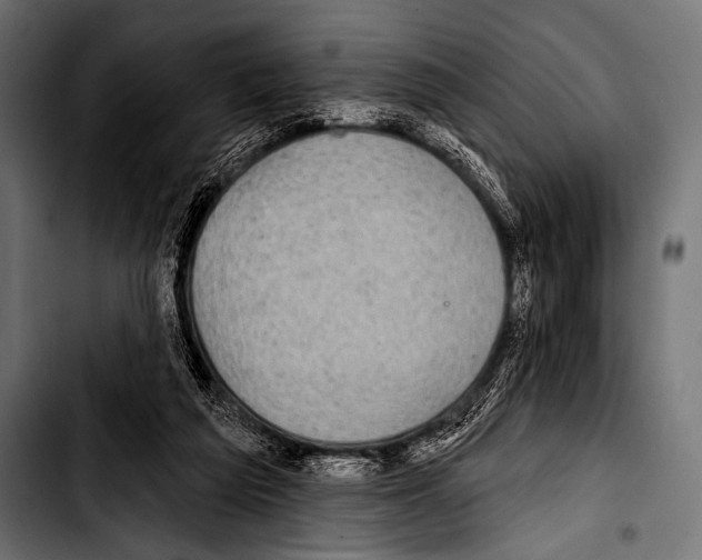 X0000103320209200810171409