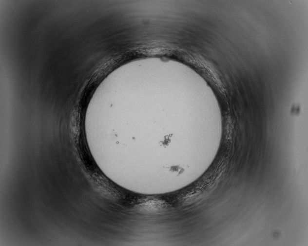 X0000103320210200810171409