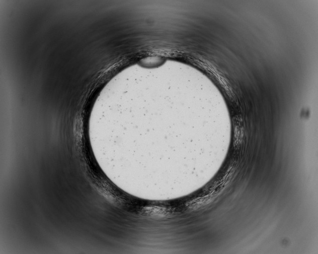 X0000103320211200810171409