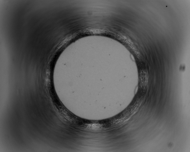 X0000103320212200810171409