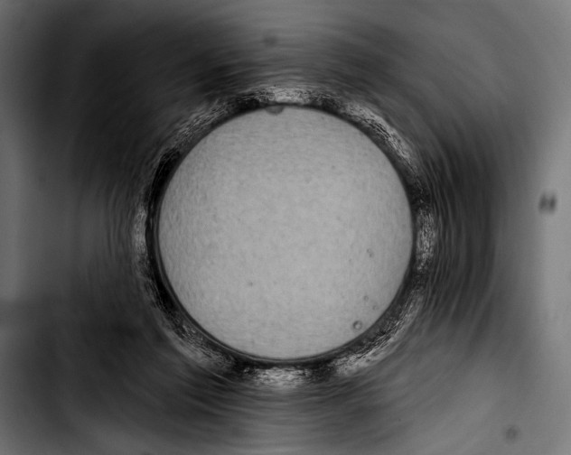 X0000103320213200810171409