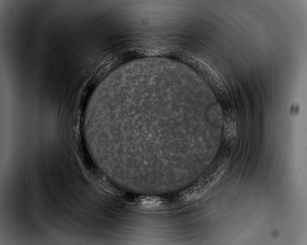 X0000103320214200810171409