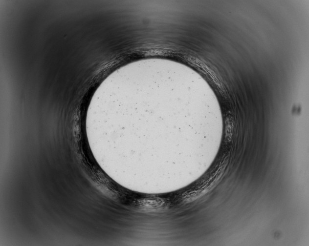 X0000103320215200810171409