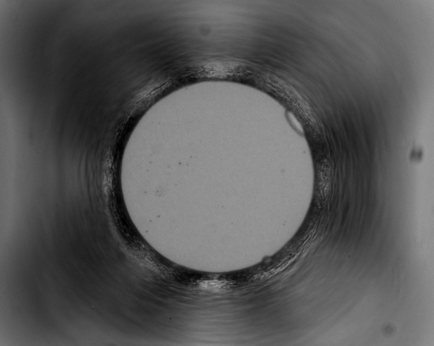 X0000103320216200810171409