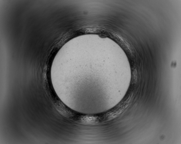 X0000103320217200810171409