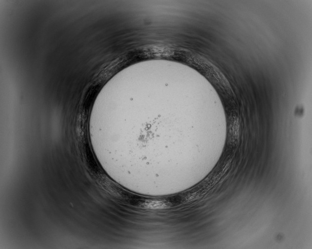 X0000103320218200810171409