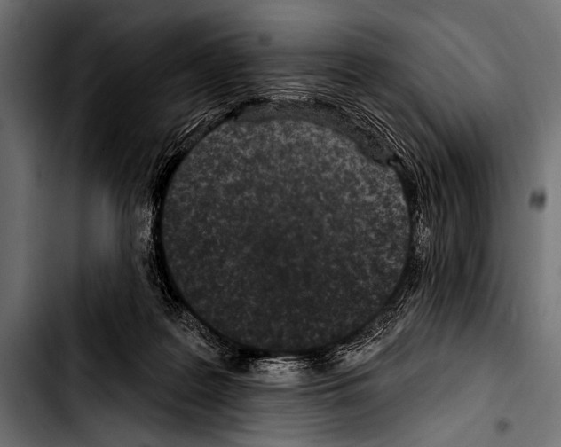 X0000103320219200810171409