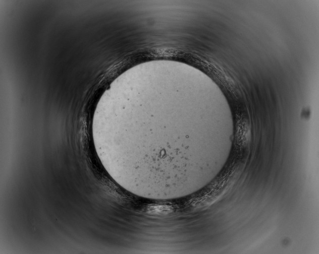 X0000103320220200810171409