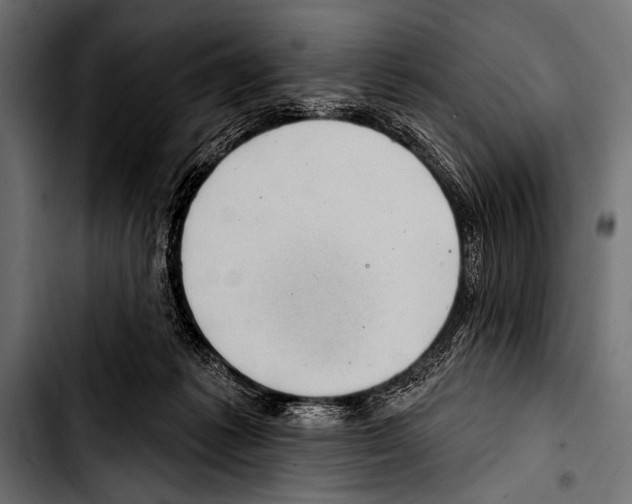 X0000103320221200810171409