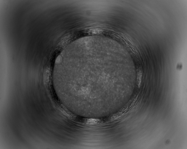 X0000103320222200810171409