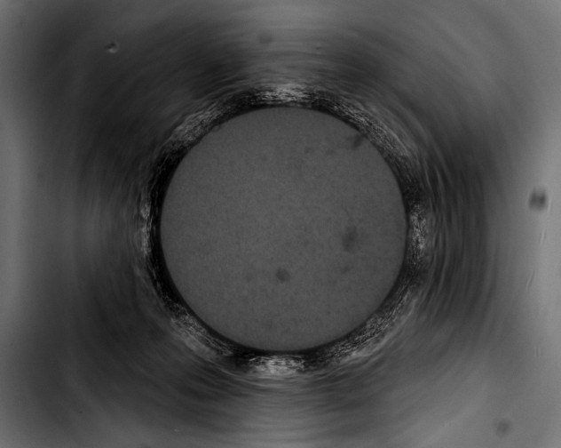X0000103320223200810171409