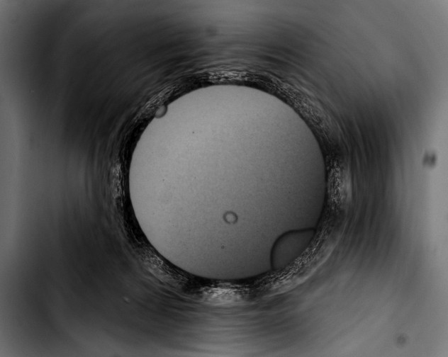 X0000103320224200810171409