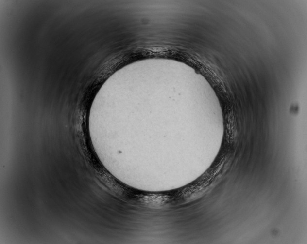 X0000103320225200810171409