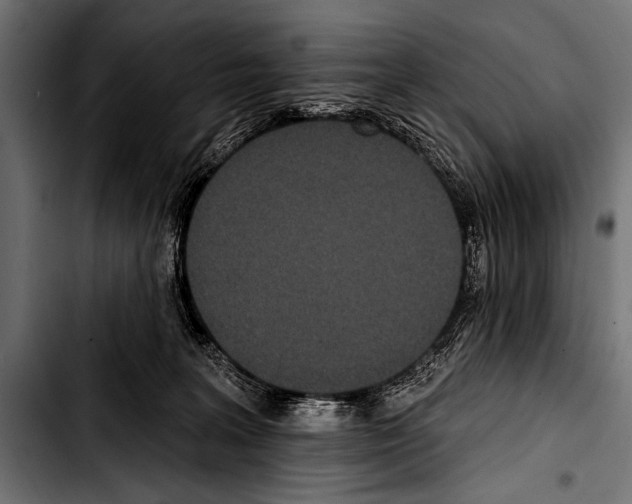 X0000103320227200810171409