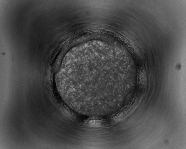 X0000103320228200810171409