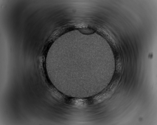 X0000103320229200810171409