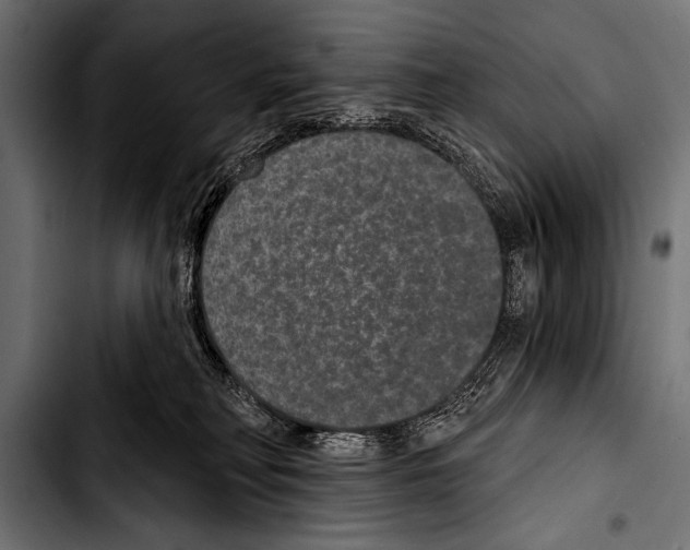 X0000103320230200810171409