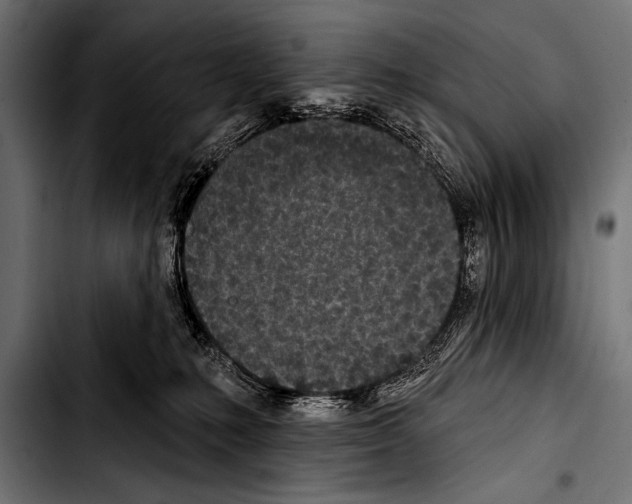 X0000103320231200810171409