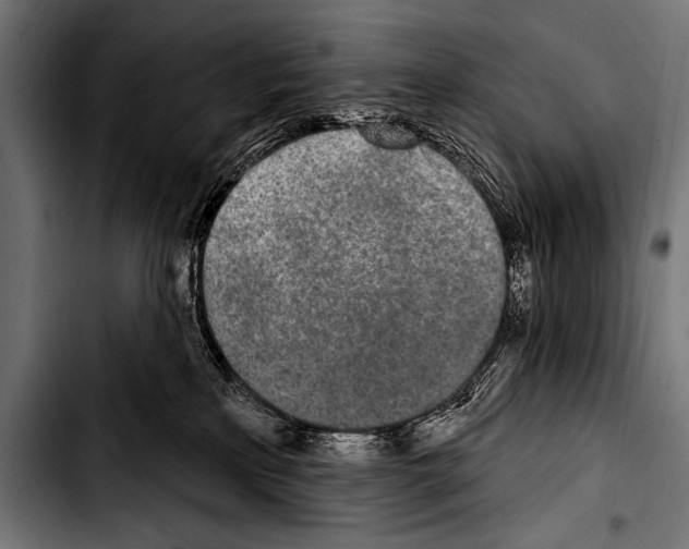 X0000103320233200810171409