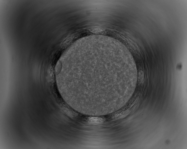 X0000103320234200810171408