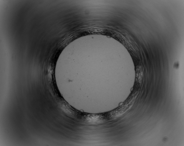 X0000103320235200810171408