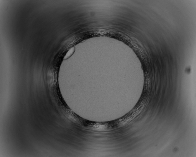 X0000103320236200810171408