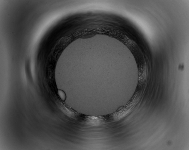 X0000103320239200810171408