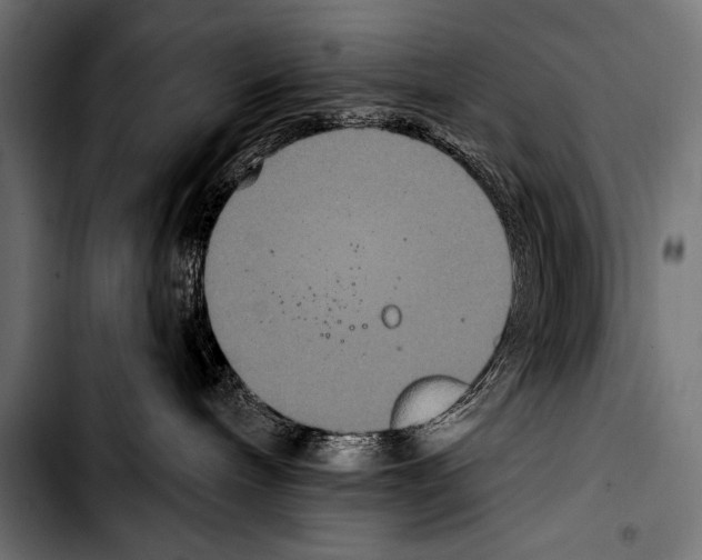 X0000103320240200810171408