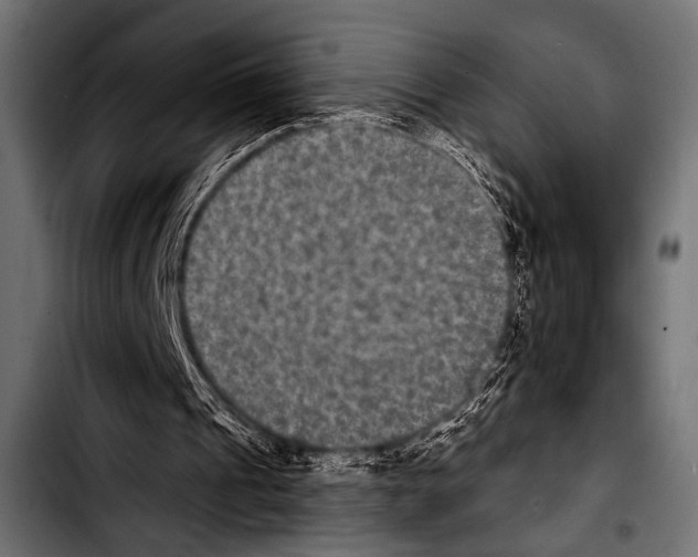 X0000103320241200810171408