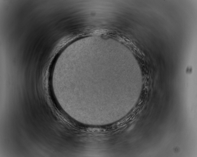 X0000103320242200810171408