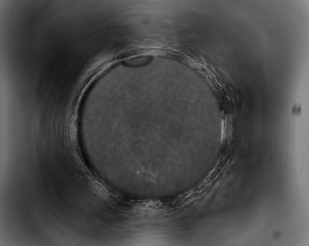 X0000103320243200810171408
