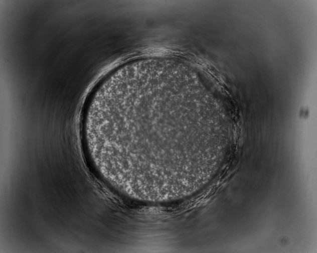 X0000103320244200810171408