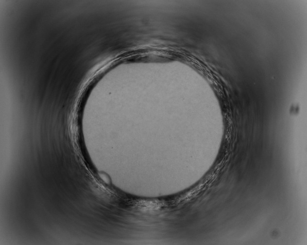 X0000103320245200810171408