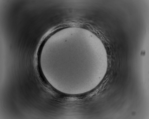 X0000103320246200810171408