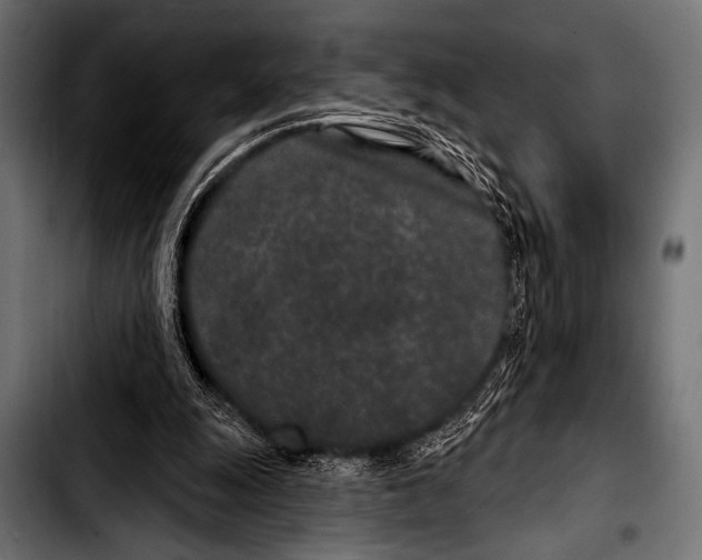 X0000103320247200810171408