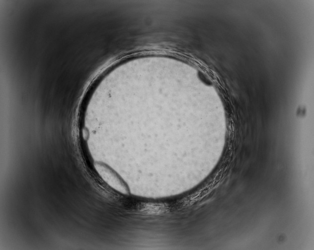 X0000103320248200810171408