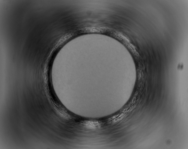 X0000103320250200810171408