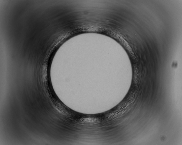 X0000103320251200810171408