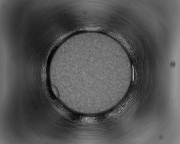 X0000103320252200810171408