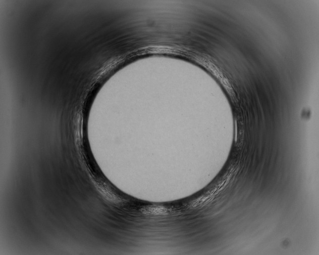 X0000103320253200810171408