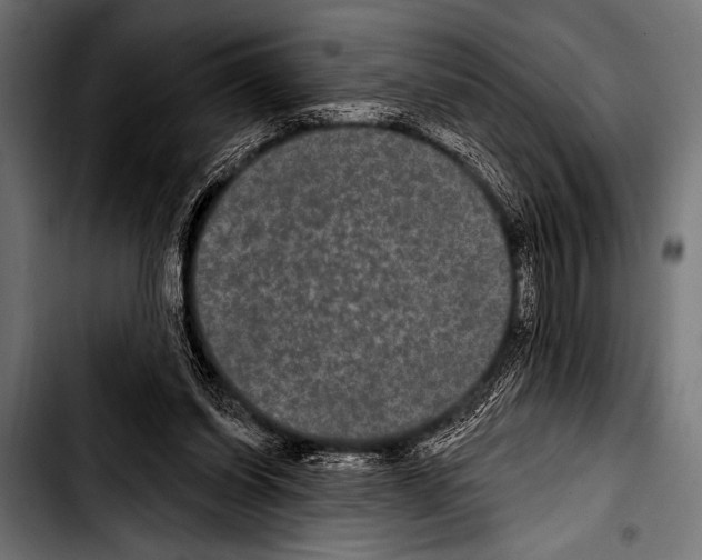 X0000103320254200810171408